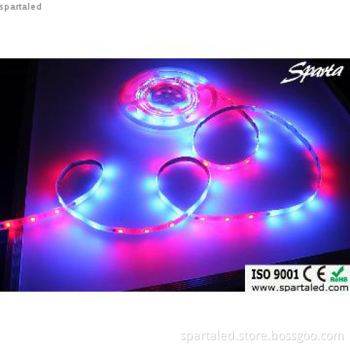 12V IP68 RGB SMD Waterproof 5050 LED Strip